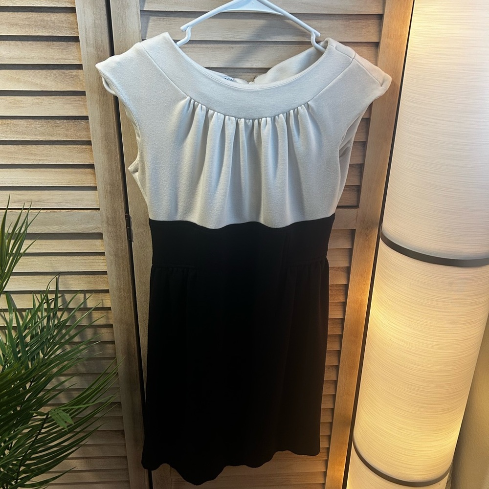 Maggy London Elegant Black and Cream Dress